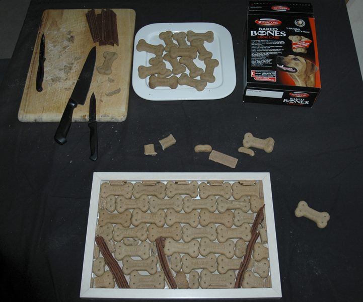 2004EdibleDrawingforDogs1